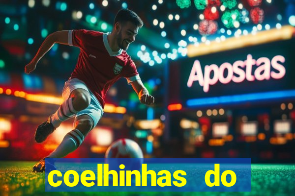 coelhinhas do brasil recife